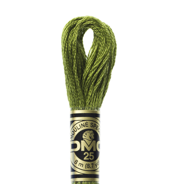 Dmc Stranded Cotton Embroidery Thread - 469
