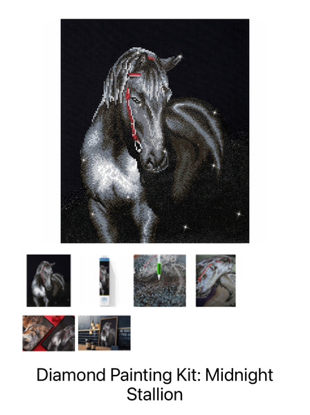 Diamond Painting Kit - Midnight Stallion DD10.012