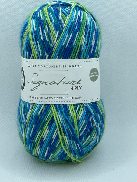 West Yorkshire Spinners Signature 4 Ply Country Birds Yarn 100g - Peacock 851