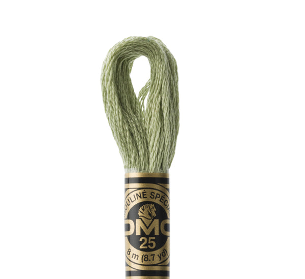 DMC Stranded Cotton Embroidery Thread - 3053