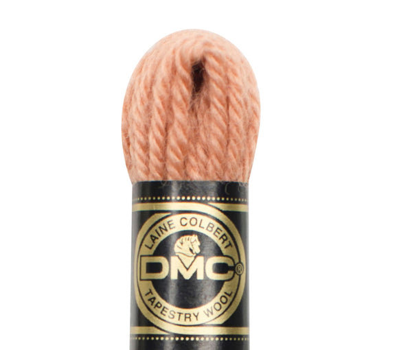 DMC Tapestry Wool - Col 7174