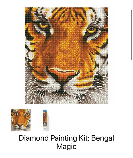 Diamond Painting Kit - Bengal Magic DD8.001