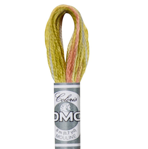 DMC Coloris Embroidery Thread - Col 4508