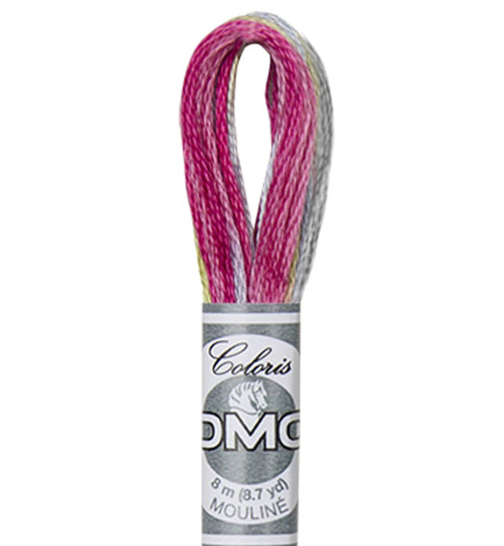 DMC Coloris Embroidery Thread - Col 4502