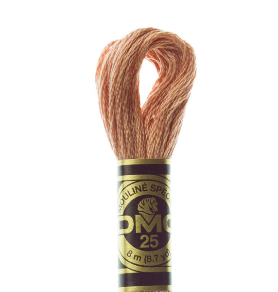 DMC Stranded Cotton Embroidery Thread - 407