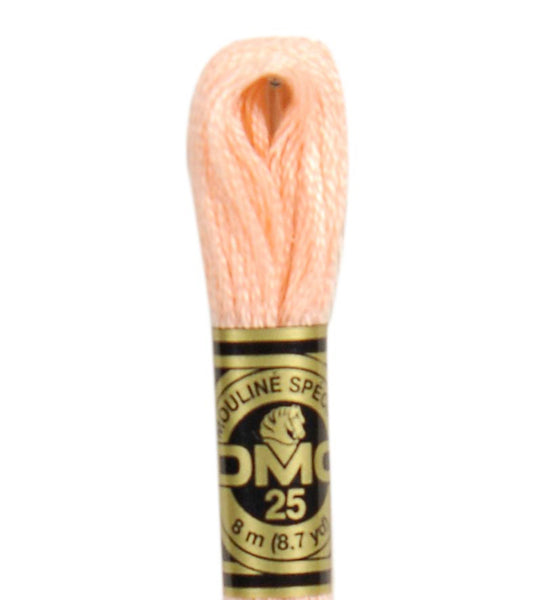 DMC Stranded Cotton Embroidery Thread - 20